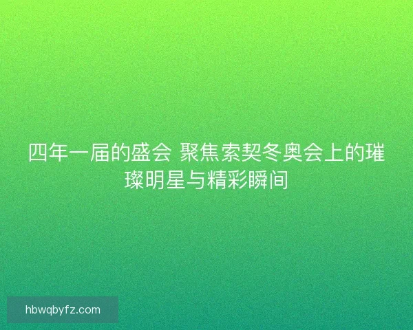 四年一届的盛会 聚焦索契冬奥会上的璀璨明星与精彩瞬间