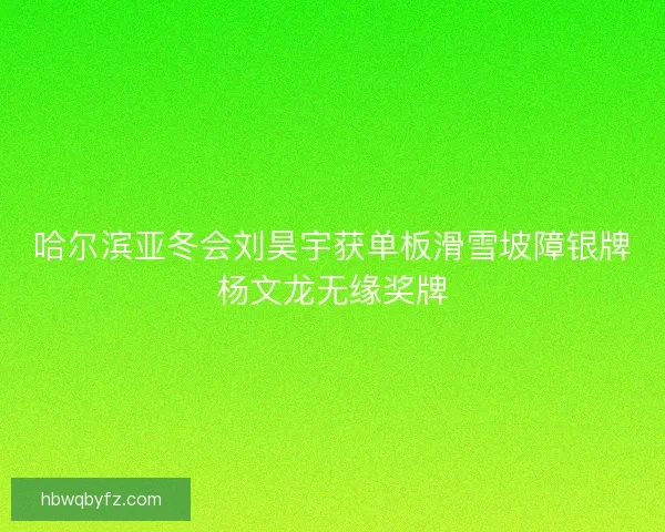 哈尔滨亚冬会刘昊宇获单板滑雪坡障银牌杨文龙无缘奖牌